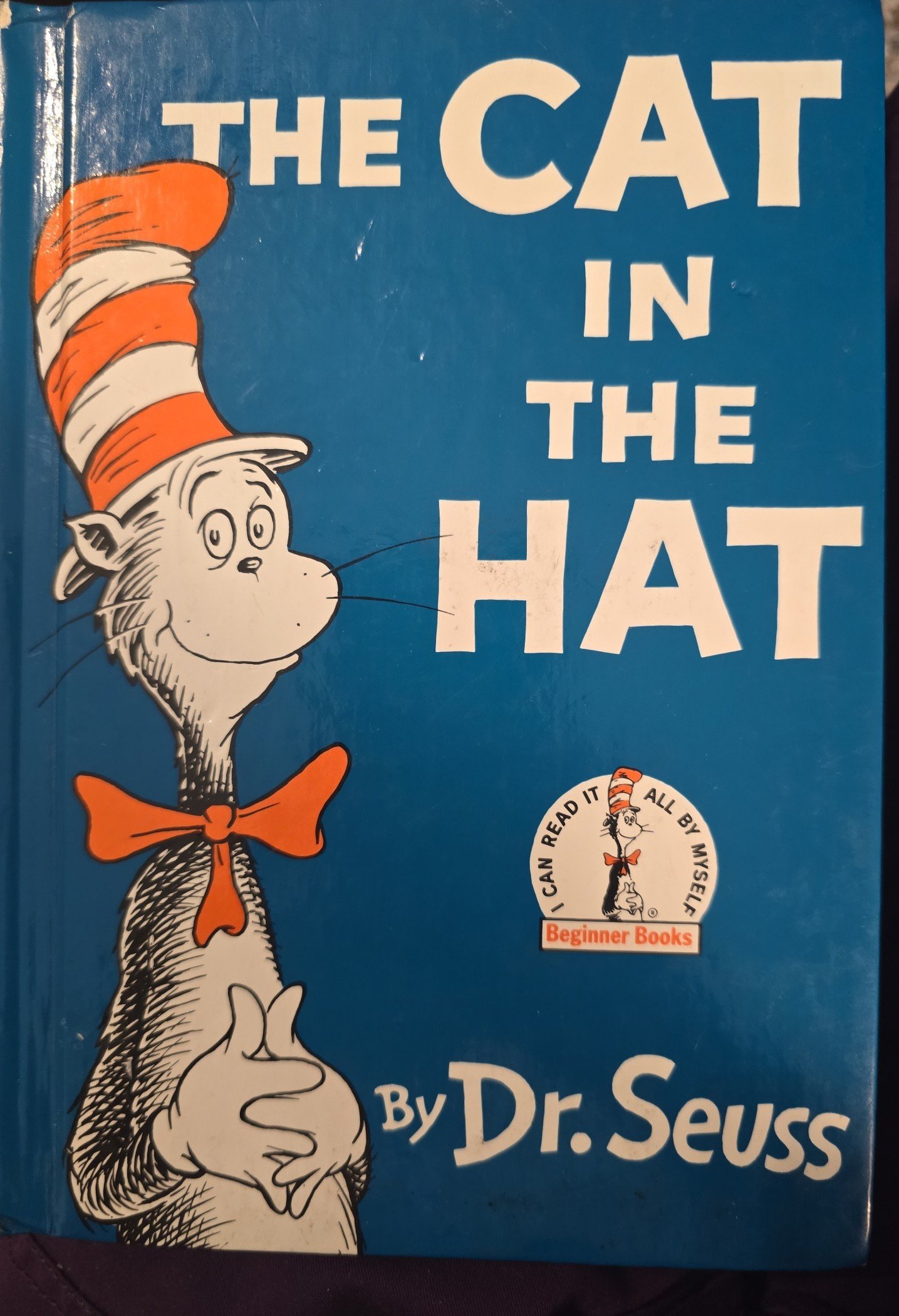 The Cat in the Hat Dr. Seuss book