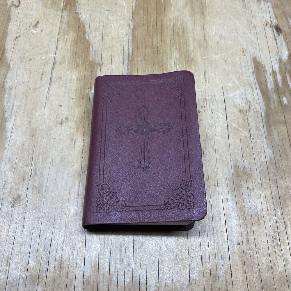 Holy Bible NIV New International Version Zondervan Italian Duo Tone Leather